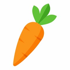 Single orange carrot isolated on white background