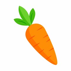 Single orange carrot illustration isolated on white background