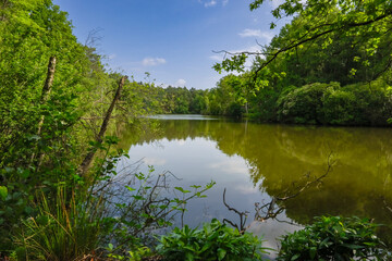 HDR image of a waterline around a war fort, which is now a nature reserve. Location: Mastenbos Kapellen (Antwerp, Belgium)