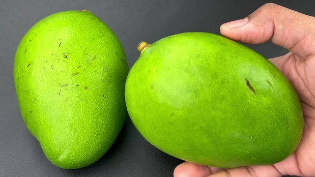 Fresh Raw Mango in Hands on Black Background | Unripe Green Mango Closeup Footage | Tropical Fruit Display | Organic Kacha Aam