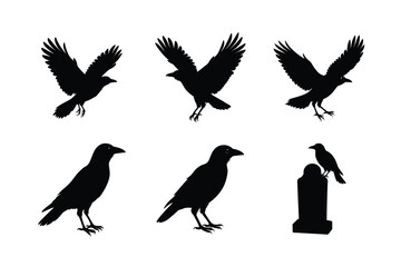 Crow different activities silhouette bundle 