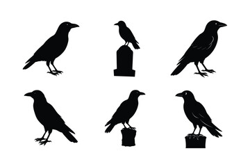 Crow different activities silhouette bundle 