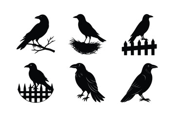 Crow different activities silhouette bundle 