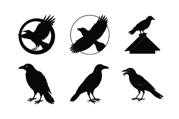 Crow different activities silhouette bundle 