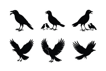 Crow different activities silhouette bundle 