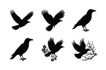 Crow different activities silhouette bundle 