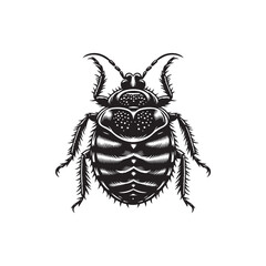 Bed Bug Vector (4).eps