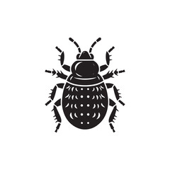 Bed Bug Vector (3).eps