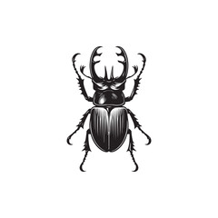 Beetle Vector (2).eps