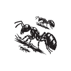 Carpenter Ant Vector (2).eps