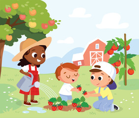 Children are taking care of strawberries, watering and picking them, on a farm in the countryside. In the garden, apple trees and tomatoes are growing, barn in the background. holidays  on rural farm