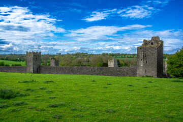Sheep Grazing Among Ruins Ireland