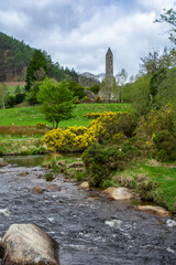 Nature in Glendalough Ireland