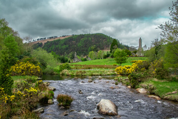 Nature in Glendalough Ireland