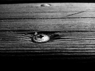 wood and rivet