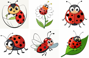 Delightful Ladybug Cartoon Collection Insects Nature Red And Black Dots