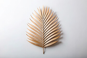 Single Dried Palm Leaf on White Background - Minimalist Botanical Design