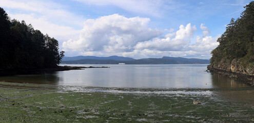 Tranquil bay on British Columbia coast