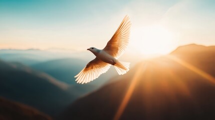 Fototapeta premium A breathtaking image captures a majestic bird soaring gracefully in the sky, framed by the golden rays of sunlight, symbolizing freedom and nature's beauty.