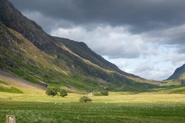 Fototapeta premium Looking towards the ridge of Stob Coire Leith and Meall Dearg from floor of Glencoe valley, Scotland, UK