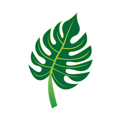 monstera leaf icon illustration design template