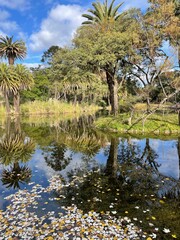 Natutraleza