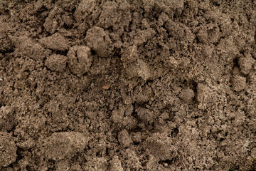 Close-up of soil showing its natural texture, organic matter, and earthy tones. Ideal for backgrounds, agricultural themes, or environmental design.