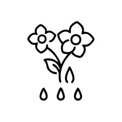 Black Line Drawing Two Flowers Water Drops Simple Handmade Season Illustration white