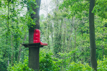Forest Adventure Park Tree Platform with Red Safety Padding