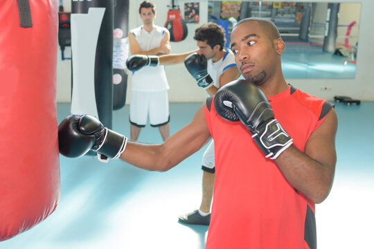 portrait of the young boxers - Powered by Adobe