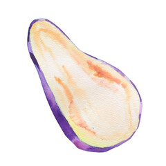 Eggplant cut in half isolated on white background. Aubergine. Watercolor botanical hand drawn illustration. Suitable for culinary designs, recipe, healthy eating, or organic food branding.