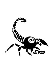 billard scorpion boule noire 8 logo club