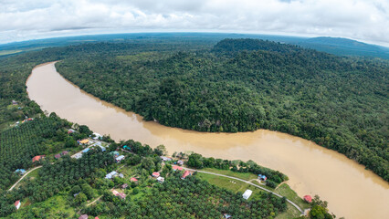 Thick rainforest with a river running through