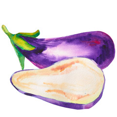 Aubergine. Eggplants and slices. Fresh watercolor vegetable. Watercolor botanical hand drawn illustration. Suitable for culinary designs, recipe, healthy eating, or organic food branding.