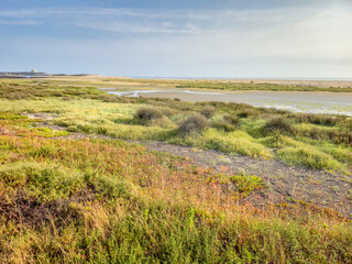 Cavado river in the Northen Littoral Natural Park in Esposende, Portugal