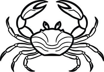 detailed crab illustration, black and white marine animal drawing vector