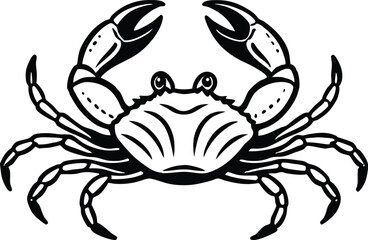 detailed crab illustration, black and white marine animal drawing vector