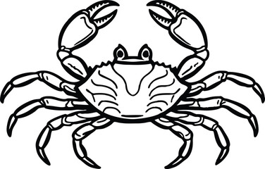 detailed crab illustration, black and white marine animal drawing vector