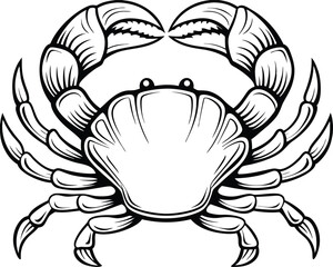 detailed crab illustration, black and white marine animal drawing vector
