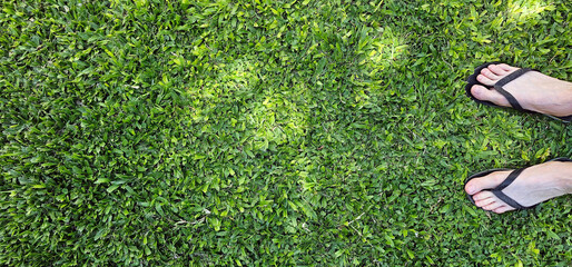 Pies con ojotas en el césped verde de verano