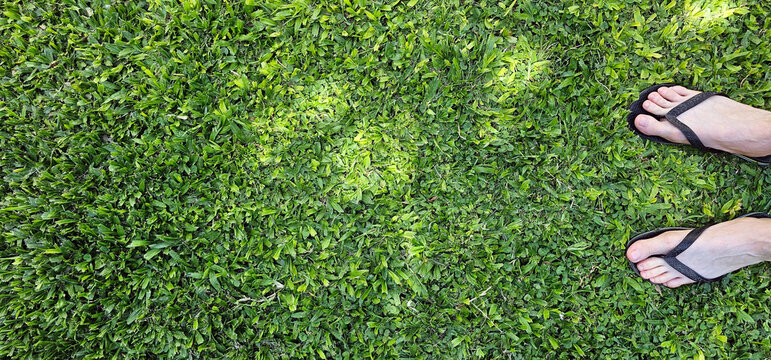 Pies con ojotas en el c&eacute;sped verde de verano