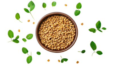 Fenugreek seeds green leaves bowl edible spice healthy organic food isolated on transparent background.