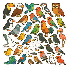 cartoon Birds vector illustration