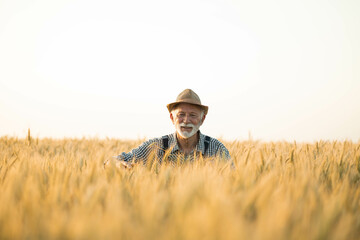 A content farmer rises from wheat stalks with a serene expression, capturing tranquility in the golden light of sunset.