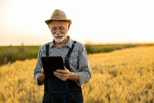 The farmer smiles joyfully at his tablet, showcasing the blend of technology and traditional farming in a wheat field at sunset.