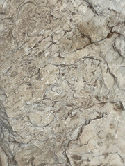 Polished Marble Stone Texture