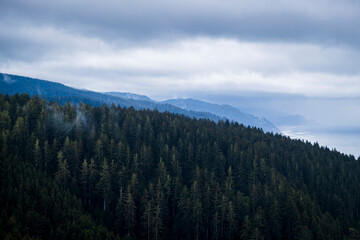 misty mountain majesty