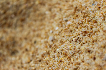 Sand texture