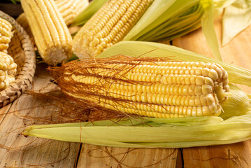 Green corn, green corn cobs and accessories on a rustic wooden table, selective focus.
