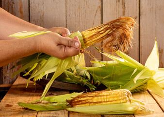 Green corn, peeling a cob of green corn with hands, selective focus.